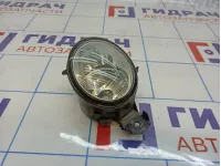 Фара противотуманная левая BMW X5 (E70) 63177184317