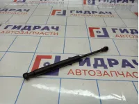 Амортизатор пола багажника BMW X5 (E70) 51476980060