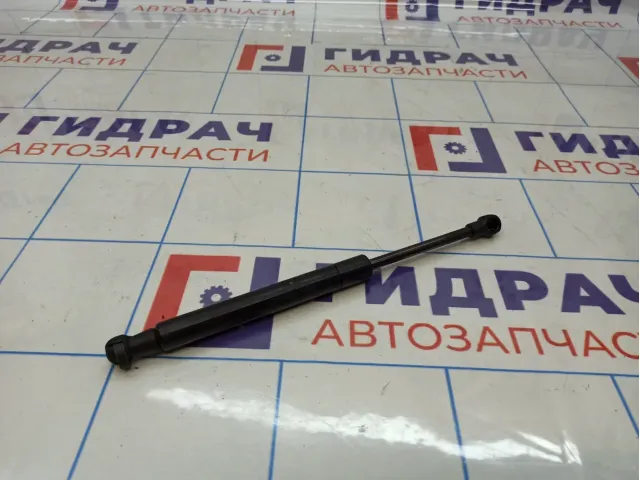 Амортизатор пола багажника BMW X5 (E70) 51476980060