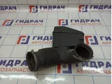 Резонатор воздушного фильтра BMW X5 (E70) 13717548889