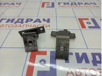 Петли двери задней левой BMW X5 (E70)