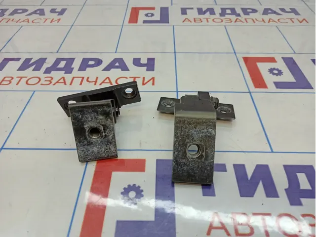 Петли двери задней левой BMW X5 (E70)