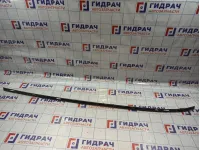 Молдинг крыши левый BMW X5 (E70) 51137250391