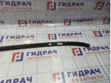 Молдинг крыши левый BMW X5 (E70) 51137250391