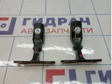 Петли двери багажника BMW X5 (E70) 41627170918