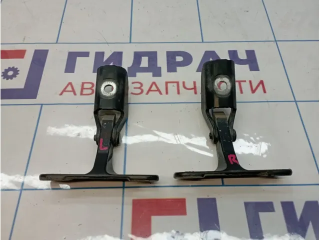 Петли двери багажника BMW X5 (E70) 41627170918
