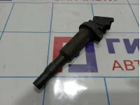 Катушка зажигания BMW X5 (E70) 12138657273