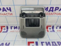 Плафон салонный BMW X5 (E70) 61319178145
