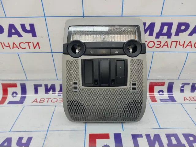 Плафон салонный BMW X5 (E70) 61319178145