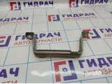 Кронштейн защиты BMW X5 (E70) 51757175297