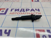 Катушка зажигания BMW X5 (E70) 12138657273