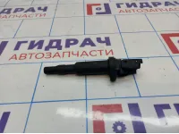 Катушка зажигания BMW X5 (E70) 12138657273