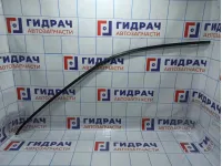 Молдинг передней левой двери BMW X5 (E70) 51337136953