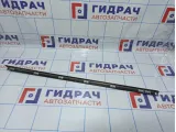 Накладка двери задней правой верхняя BMW X5 (E70) 51357136962