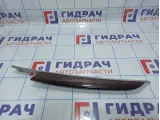 Накладка обшивки двери передней левой BMW X5 (E70) 51417137181