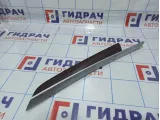 Накладка обшивки двери передней левой BMW X5 (E70) 51417137181