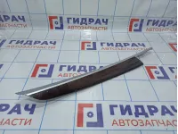 Накладка обшивки двери задней правой BMW X5 (E70) 51427137204