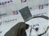 Проводка двери передней левой BMW X5 (E70) 61126977051