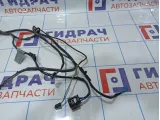 Проводка двери задней левой BMW X5 (E70) 61129116978