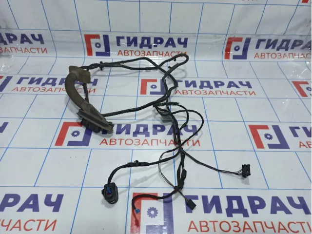 Проводка двери задней правой BMW X5 (E70) 61129116978