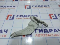 Петля капота левая BMW X5 (E70) 41007198617