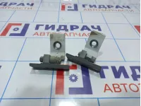 Петли двери передней правой BMW X5 (E70)