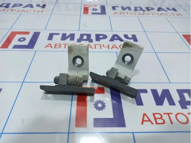 Петли двери передней правой BMW X5 (E70)