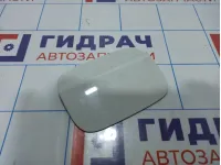 Лючок бензобака BMW X5 (E70) 51177160634