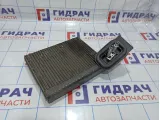 Испаритель кондиционера BMW X5 (E70) 64116806555