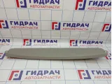 Обшивка двери багажника центральная BMW X5 (E70) 51497172123