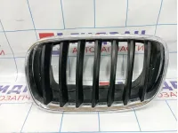 Решетка радиатора левая BMW X5 (E70) 51137157687