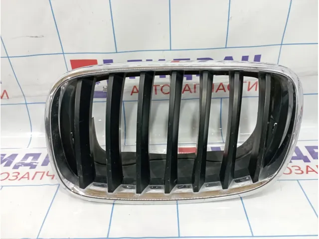 Решетка радиатора левая BMW X5 (E70) 51137157687