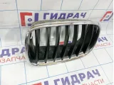 Решетка радиатора левая BMW X5 (E70) 51137157687