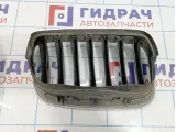 Решетка радиатора левая BMW X5 (E70) 51137157687