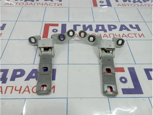 Петли двери багажника верхние BMW X5 (E70) 41627170921