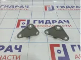 Петли двери багажника нижние BMW X5 (E70) 41627170918