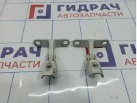 Петли двери багажника BMW X5 (E70) 41627170918
