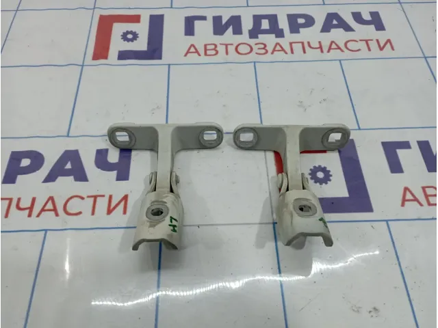 Петли двери багажника BMW X5 (E70) 41627170918