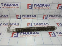 Радиатор гидроусилителя BMW X5 (E70) 17217558843