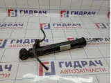 Амортизатор задний правый BMW X5 (E70) 33526781928