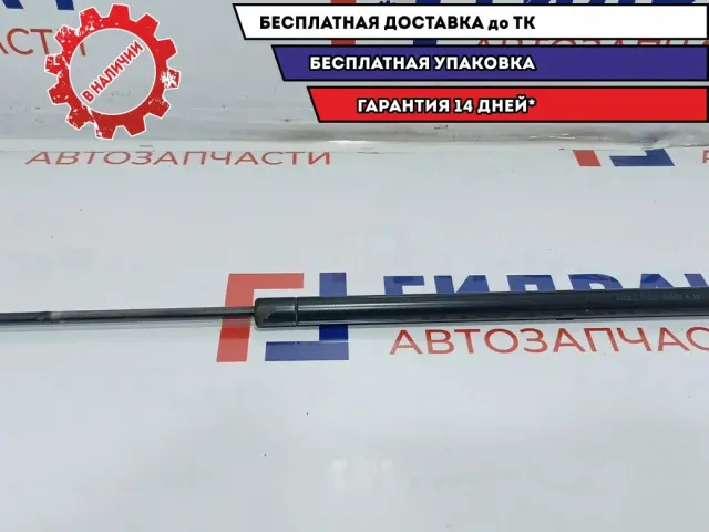 Амортизатор двери багажника верхний BMW X5 51248402405.