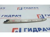 Накладка обшивки двери задней правой BMW X5 51428265482.