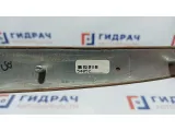 Накладка обшивки двери задней правой BMW X5 51428265482.