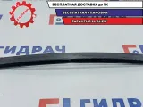 Направляющая стекла двери задней левой BMW X5 51348257699.