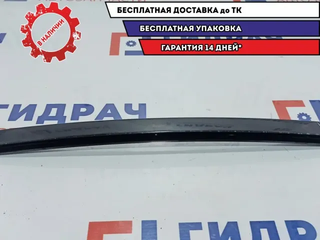 Направляющая стекла двери задней левой BMW X5 51348257699.