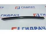 Направляющая стекла двери задней левой BMW X5 51348257699.