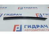 Направляющая стекла двери задней левой BMW X5 51348257699.