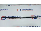 Накладка двери задней правой BMW X5 51348257686. Верхняя.