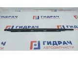 Накладка двери задней правой BMW X5 51348257686. Верхняя.
