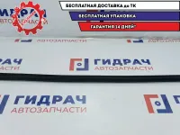 Уплотнитель стекла двери переднего левого BMW X5 51328402555. Внутренний.